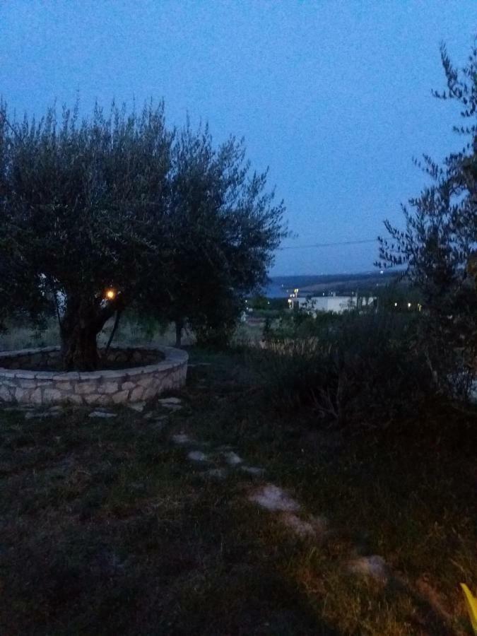 Fortuna Appartement Slivnica Buitenkant foto